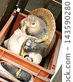 A Shigaraki ware raccoon dog figurine, believed to bring business prosperity, is placed inside a sake container. 143590280