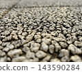 The texture of a cobblestone floor illuminated by the setting sun. 143590284