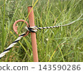 Rope knots and stakes marking restricted areas 143590286