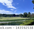令人耳目一新的藍天和公園的景觀 143592538