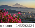 The cosmos fields of Maruyama Flower and Tree Garden, Mount Fuji, and the cityscape of Aoi Ward. 143592824