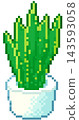 Snake plant in a pot indoor plant in simple pixel art  143593058
