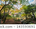 Ginkakuji temple with autumn colors in kyoto, Japan 143593691