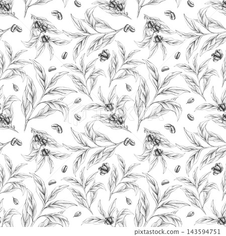 Coffee leaves branches Seamless pattern, coffee beans, hand-drawn in graphite pencil on white background. Monochrome botanical isolated illustration with vintage style for packaging, textile design Coffee leaves branches Seamless pattern, coffee beans, hand-drawn in graphite pencil on white background. Monochrome botanical isolated illustration with vintage style for packaging, textile design 143594751