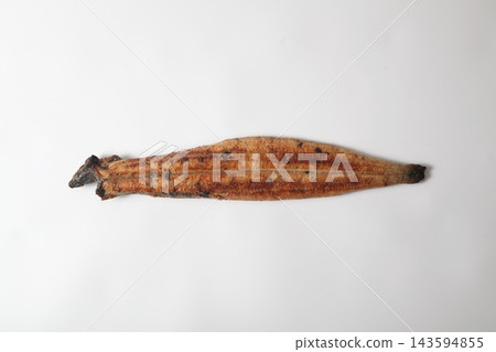 One whole grilled eel, viewed from directly above against a white background. One whole grilled eel, viewed from directly above against a white background. 143594855