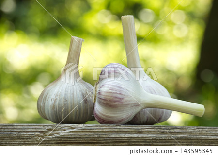 Fresh Garlic Bulbs on Rustic Wooden Table With Soft Green Bokeh Fresh Garlic Bulbs on Rustic Wooden Table With Soft Green Bokeh 143595345