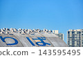 Seagulls on the roof 143595495