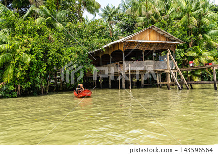 River boat tour on the Guama River River boat tour on the Guama River 143596564