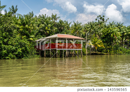 River boat tour on the Guama River River boat tour on the Guama River 143596565
