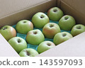 Bramley apples in a cardboard box 143597093