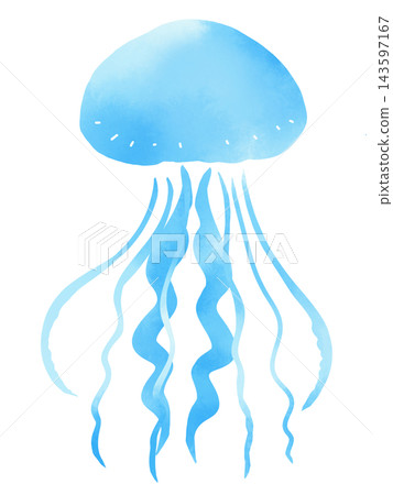 A watercolor-style illustration of a jellyfish swimming gracefully and softly. A watercolor-style illustration of a jellyfish swimming gracefully and softly. 143597167
