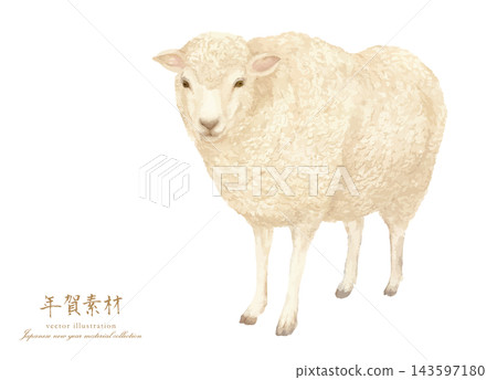 A simple and cute watercolor illustration of a sheep. A simple and cute watercolor illustration of a sheep. 143597180