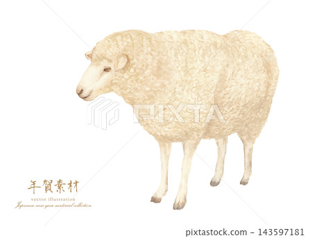 A simple and cute watercolor illustration of a sheep. A simple and cute watercolor illustration of a sheep. 143597181