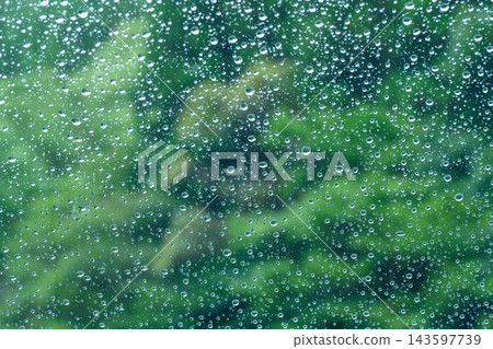 兵庫縣，一片正在下雨的森林。 143597739