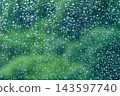 兵庫縣，一片正在下雨的森林。 143597740