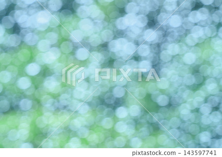 Hyogo Prefecture, a forest where it is raining. Hyogo Prefecture, a forest where it is raining. 143597741