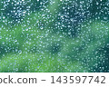 兵庫縣，一片正在下雨的森林。 143597742