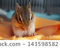 A squirrel eating a snack 143598582