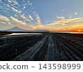Nature  143598999