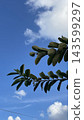 Cozy afternoon sky 143599297