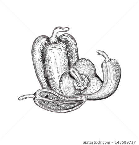 Hand drawn ink bell and chili pepper composition. Illustration of food isolated on white background. Can be used for card, label, and package or menu design Hand drawn ink bell and chili pepper composition. Illustration of food isolated on white background. Can be used for card, label, and package or menu design 143599737