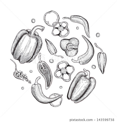 Hand drawn ink bell and chili pepper and slices round label composition. Illustration of food isolated on white background. Can be used for card, label, and package or menu design 143599738