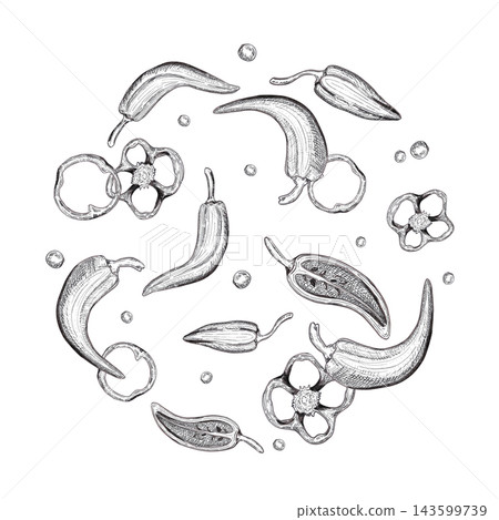 Hand drawn ink bell and chili pepper round label composition. Illustration of food isolated on white background. Can be used for card, label, package or menu design and other printed products Hand drawn ink bell and chili pepper round label composition. Illustration of food isolated on white background. Can be used for card, label, package or menu design and other printed products 143599739