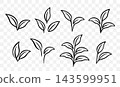 Plants leaves set icons, branches and twigs, eco sign sprout 143599951
