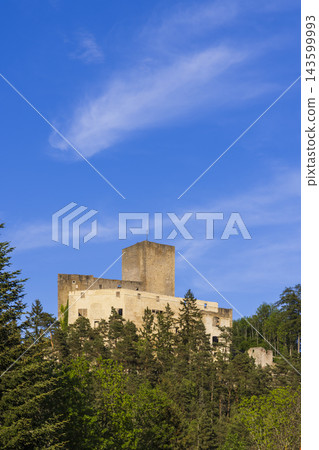 Landstejn Castle historic landmark rising above forest Landstejn Castle historic landmark rising above forest 143599993