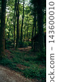 Wooden cabin among mossy trees in a lush forest 143600010