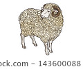 Sheep illustration 41 143600088