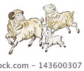 Sheep illustration 40 143600307