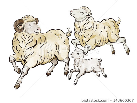 Sheep illustration 40 Sheep illustration 40 143600307