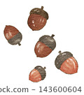 Acorn color illustration [transparent background] 143600604