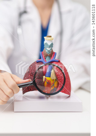 Doctor point heart Cardiovascular and Respiratory anatomy for Disease. Lung Cancer, Asthma, Chronic Obstructive Pulmonary or COPD, Bronchitis, Emphysema, Cystic Fibrosis, Bronchiectasis, Pneumonia Doctor point heart Cardiovascular and Respiratory anatomy for Disease. Lung Cancer, Asthma, Chronic Obstructive Pulmonary or COPD, Bronchitis, Emphysema, Cystic Fibrosis, Bronchiectasis, Pneumonia 143601118