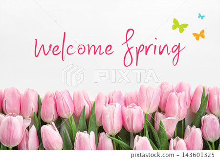 Beautiful pink tulips on white background. Hello spring 143601325