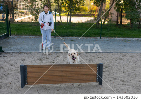 A blind woman is working with her guide dog at a dog park. A blind woman is working with her guide dog at a dog park. 143602016