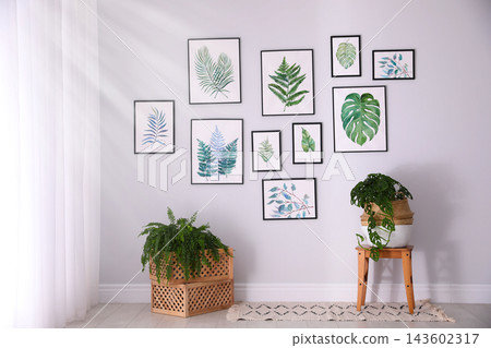 Beautiful paintings of tropical leaves on white wall in living room interior Beautiful paintings of tropical leaves on white wall in living room interior 143602317