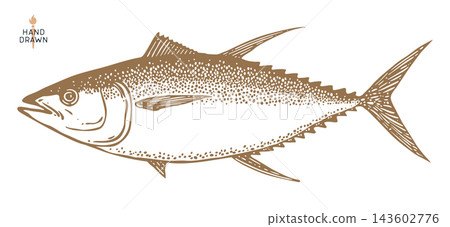 Tuna Fish, seafood, sketch 143602776