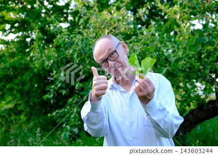 Senior man showing thumbs up while holding fresh lettuce leaves and promoting healthy nutrition near apple tree Senior man showing thumbs up while holding fresh lettuce leaves and promoting healthy nutrition near apple tree 143603244