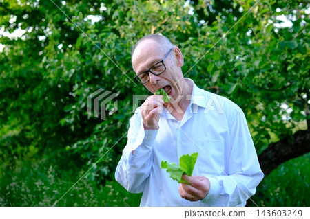 Senior man showing thumbs up while holding fresh lettuce leaves and promoting healthy nutrition near apple tree Senior man showing thumbs up while holding fresh lettuce leaves and promoting healthy nutrition near apple tree 143603249