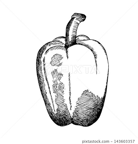pepper, vegetables, vector 143603357