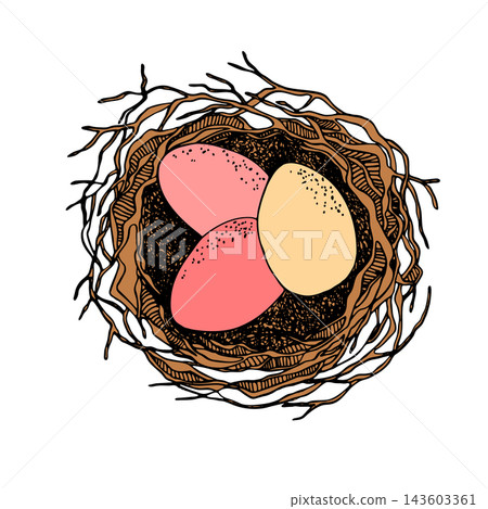 Bird nest with eggs. Easter hand drawn vector illustration, template design 143603361