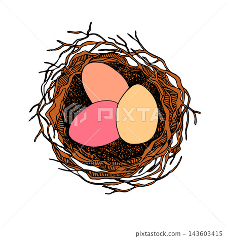 Bird nest with eggs. Easter hand drawn vector illustration, template design Bird nest with eggs. Easter hand drawn vector illustration, template design 143603415