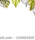 Floral frame with colorful exotic branches on white background. Ornate border with tropic leaves. Vector stock illustration for wallpaper, posters, card. Doodle style. Copy space 143603420