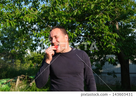 Middle aged man in blue sweater eating fresh strawberries under cherry tree in sunny garden enjoying summer harvest and countryside lifestyle 143603431