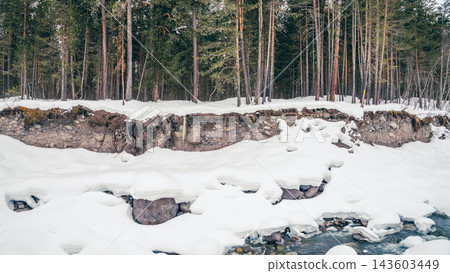 Snow-covered riverbank with exposed soil and pine forest edge under overcast sky 143603449