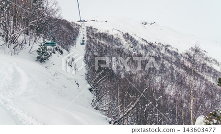 Empty ski lift climbing snowy mountainside through birch forest beneath overcast sky 143603477