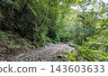 A landscape of a dirt road on the Hatouchi Forest Road surrounded by trees - Nagano Prefecture, Japan 143603633