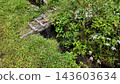 A landscape of a stream in Ohira-juku, adorned with a wooden bridge and flowers - Iida City, Nagano Prefecture, Japan 143603634